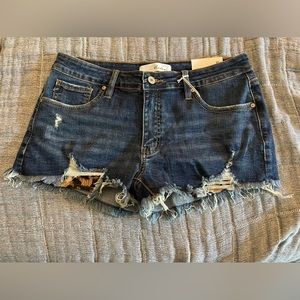 XL Kancan Womens Shorts nwt